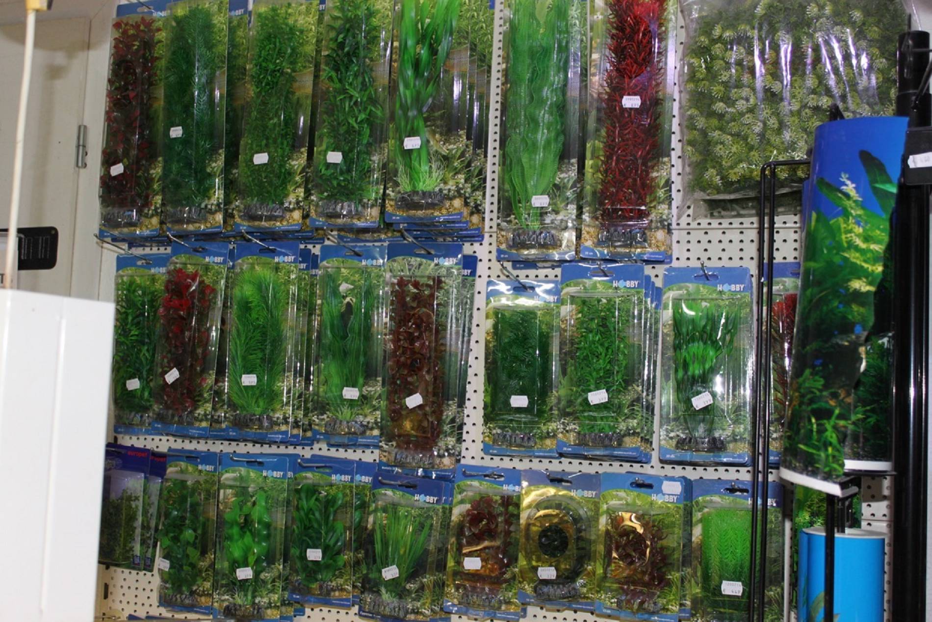 Aquarium Zubehör
