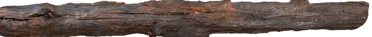 Ast