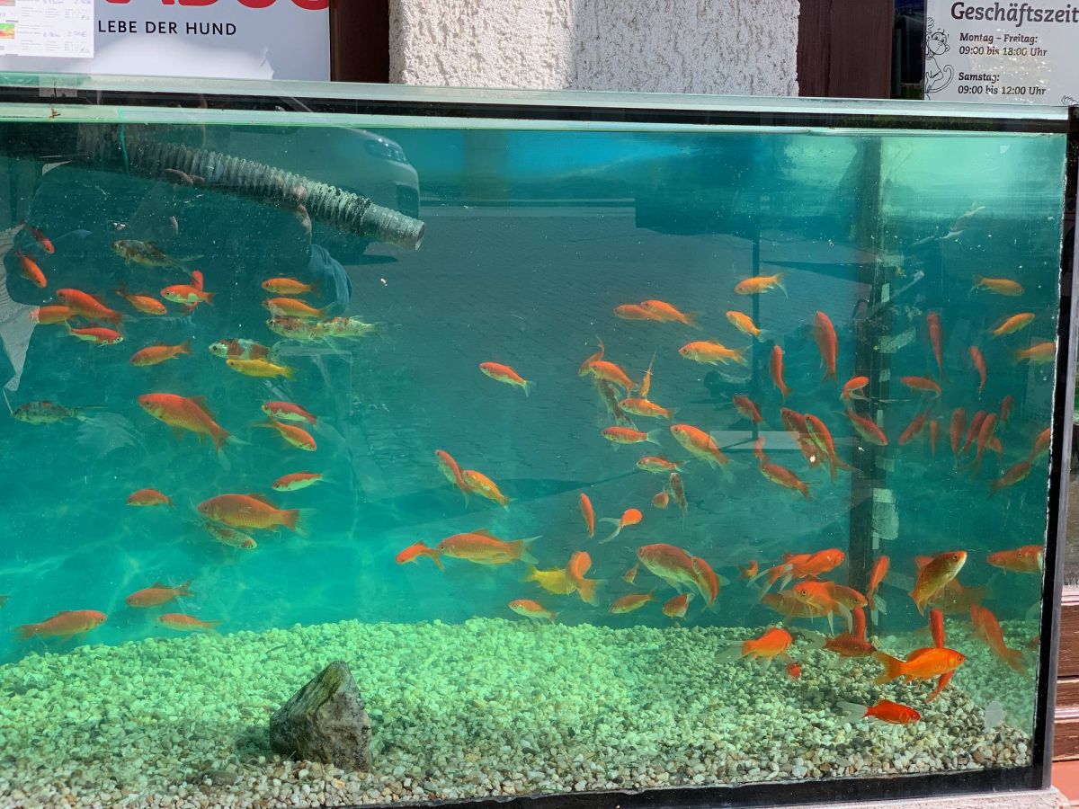 Aquarium